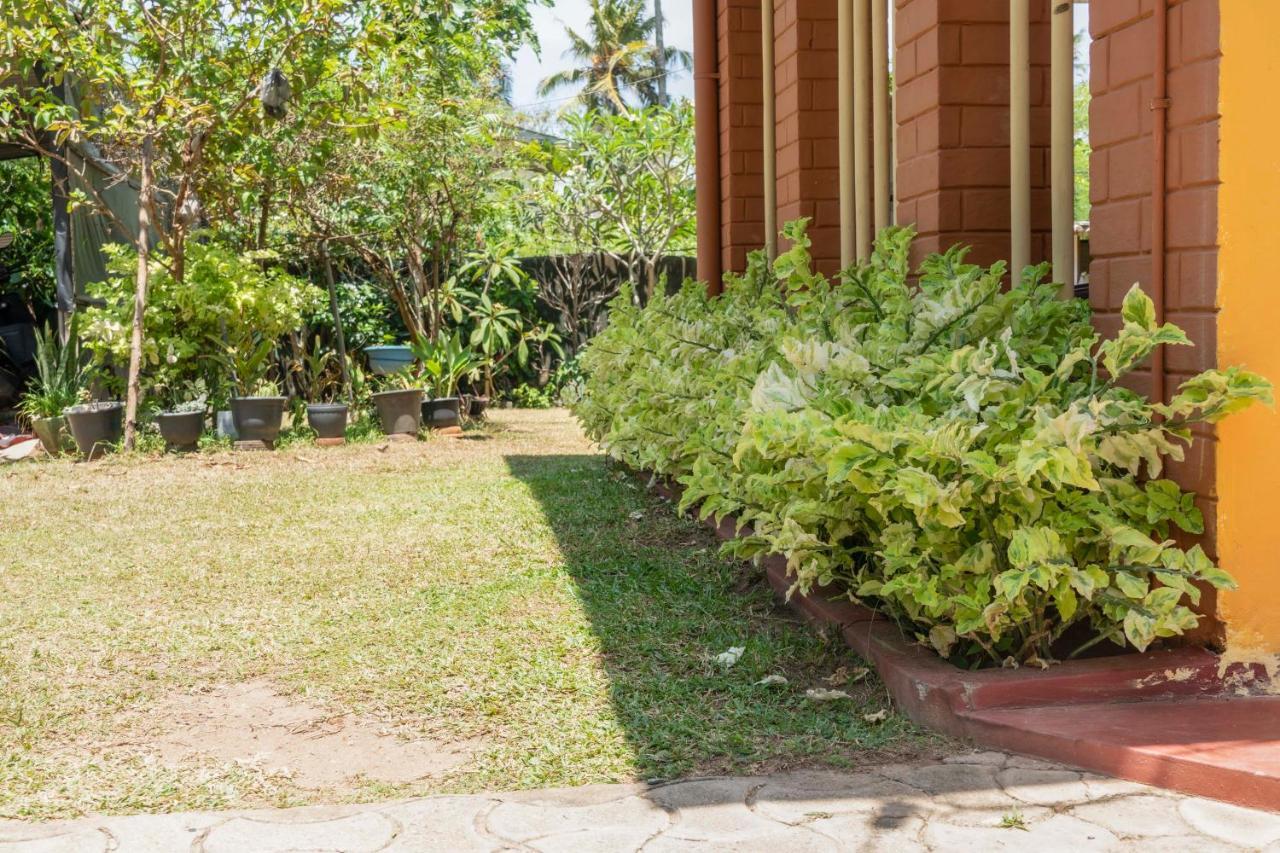The Catipe Lodge Хиккадува Экстерьер фото